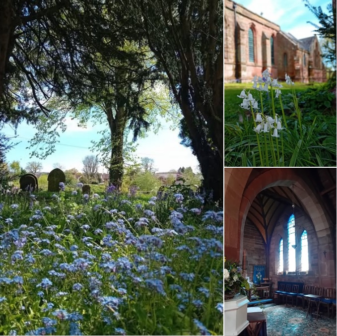 Spring at Christ Church Catshill
