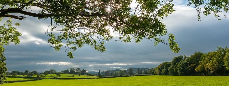 Dodford facebook group image - pastoral scene