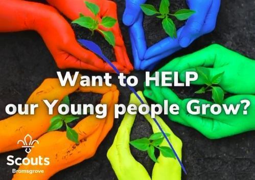 scouts volunteer poster "want to help our young people grow?