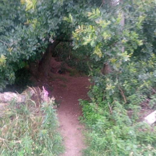 Secret hidey hole in Catshill