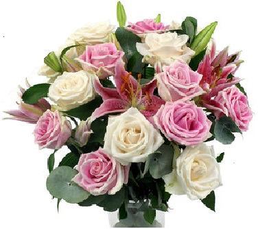 image of a bunch of red, pink and white roses